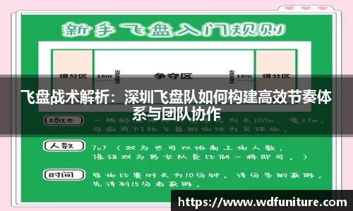 飞盘战术解析：深圳飞盘队如何构建高效节奏体系与团队协作