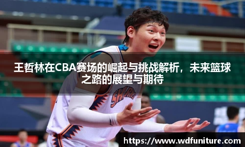 王哲林在CBA赛场的崛起与挑战解析，未来篮球之路的展望与期待