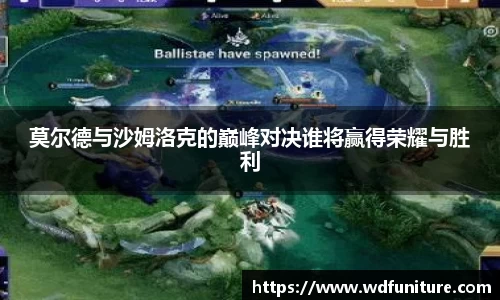莫尔德与沙姆洛克的巅峰对决谁将赢得荣耀与胜利