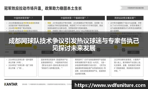 成都网球队技术争议引发热议球迷与专家各执己见探讨未来发展