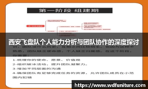 西安飞盘队个人能力分析与团队协作的深度探讨