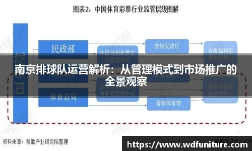 南京排球队运营解析：从管理模式到市场推广的全景观察