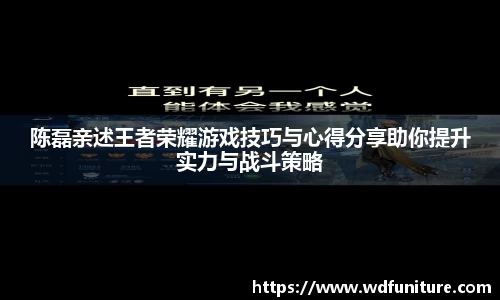 陈磊亲述王者荣耀游戏技巧与心得分享助你提升实力与战斗策略